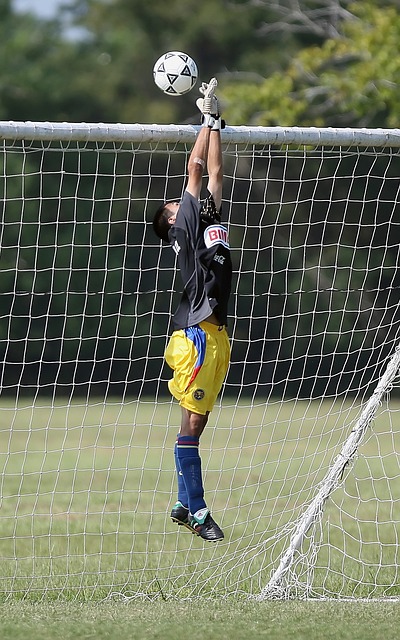 往往能够给 往往能够给