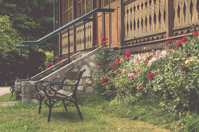 坚持认为 坚持认为