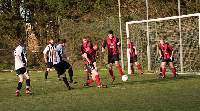 我们发现东 我们发现东