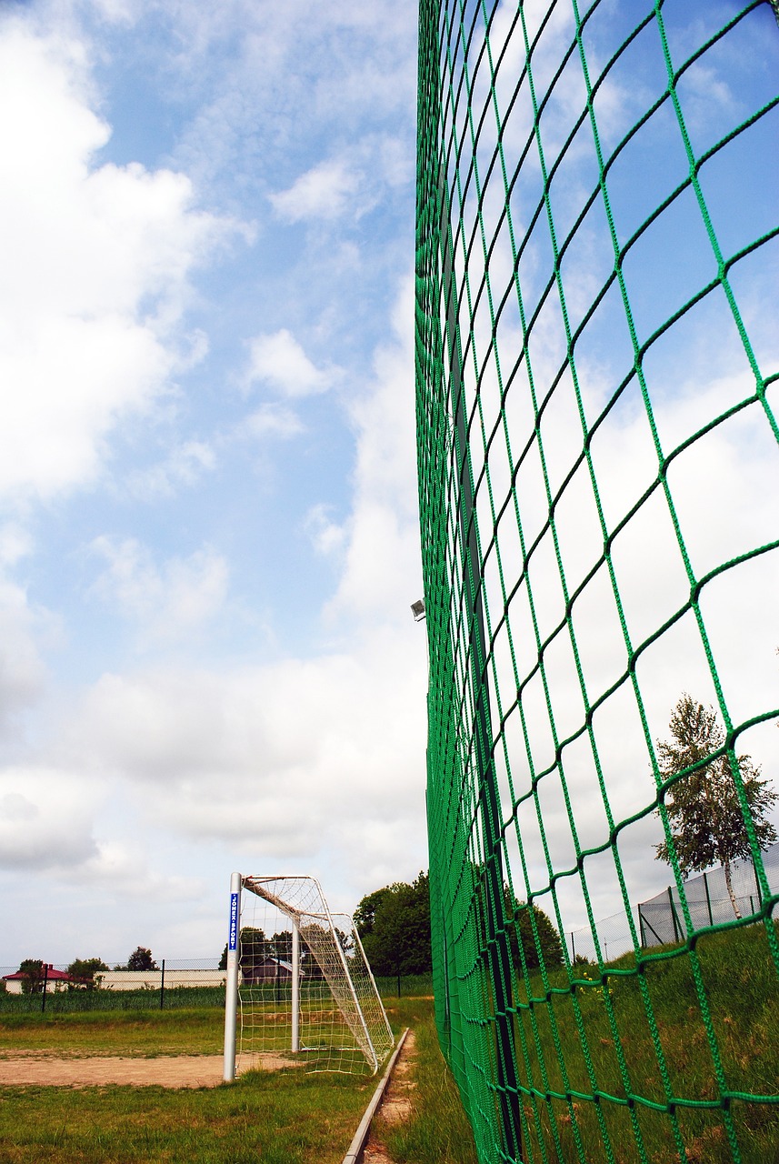 申花在足协 申花在足协